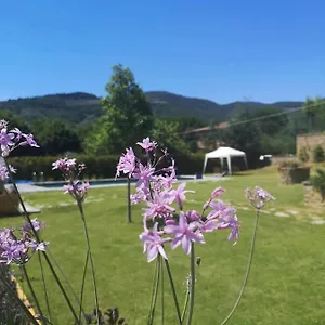  Bed and breakfast Alba Morus Sentiti A Casa Nel Cuo Italia